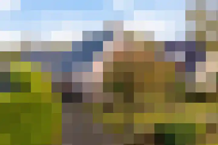 Tsjerk Hiddesstrjitte 24 Kootstertille thumbnail 48