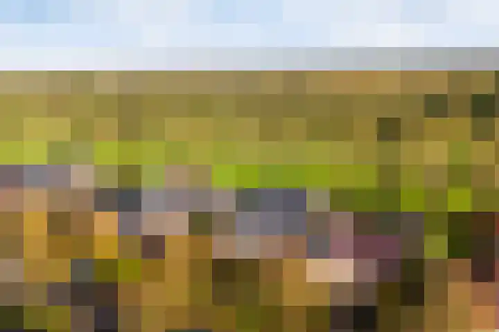 Tsjerk Hiddesstrjitte 24 Kootstertille thumbnail 51