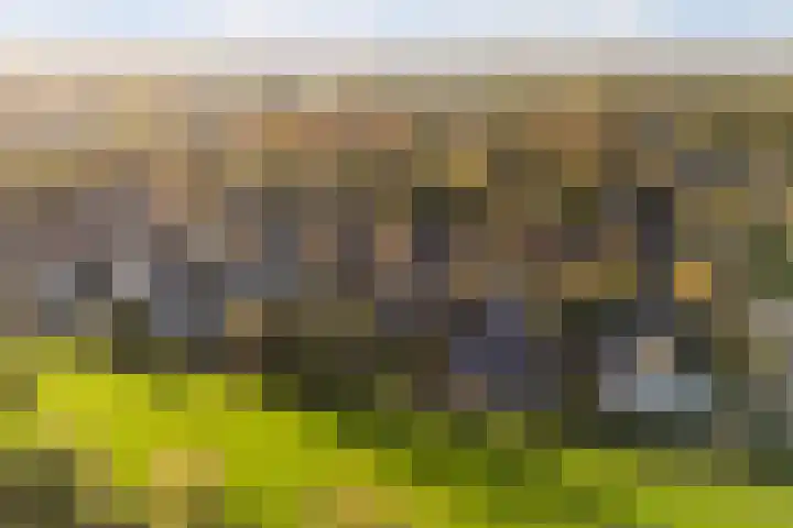 Tsjerk Hiddesstrjitte 24 Kootstertille thumbnail 53