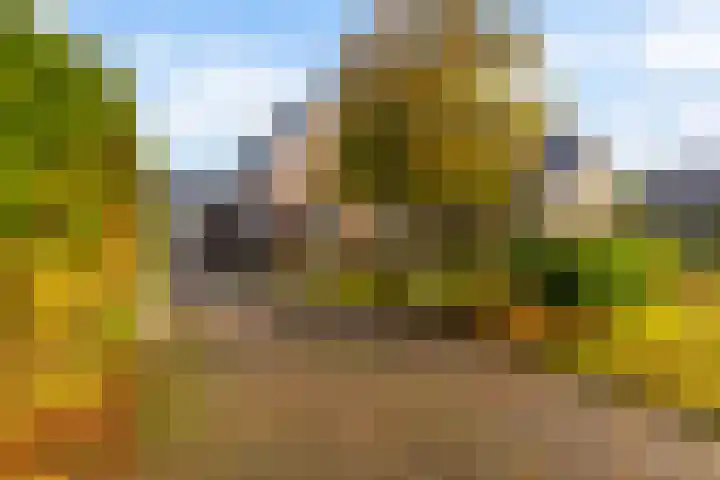 Tsjerk Hiddesstrjitte 24 Kootstertille thumbnail 7