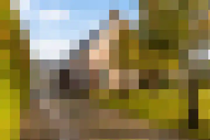 Tsjerk Hiddesstrjitte 24 Kootstertille thumbnail 9