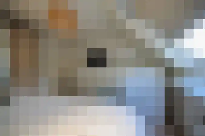 Tsjerk Hiddesstrjitte 3 Kootstertille thumbnail 17