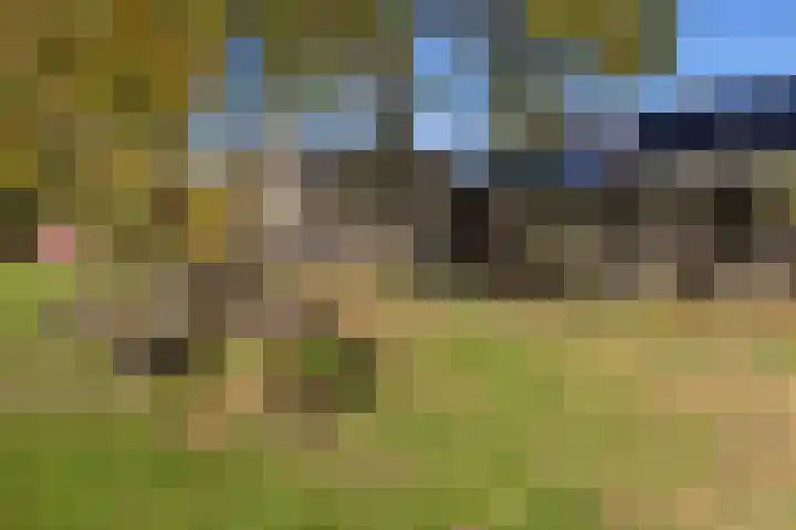 Tsjerk Hiddesstrjitte 3 Kootstertille foto 2