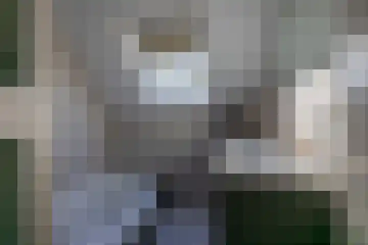 Tsjerk Hiddesstrjitte 3 Kootstertille thumbnail 22