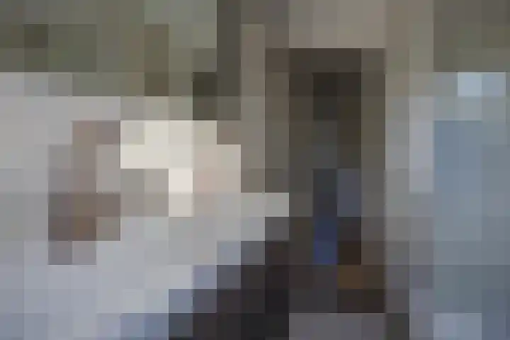 Tsjerk Hiddesstrjitte 3 Kootstertille thumbnail 23