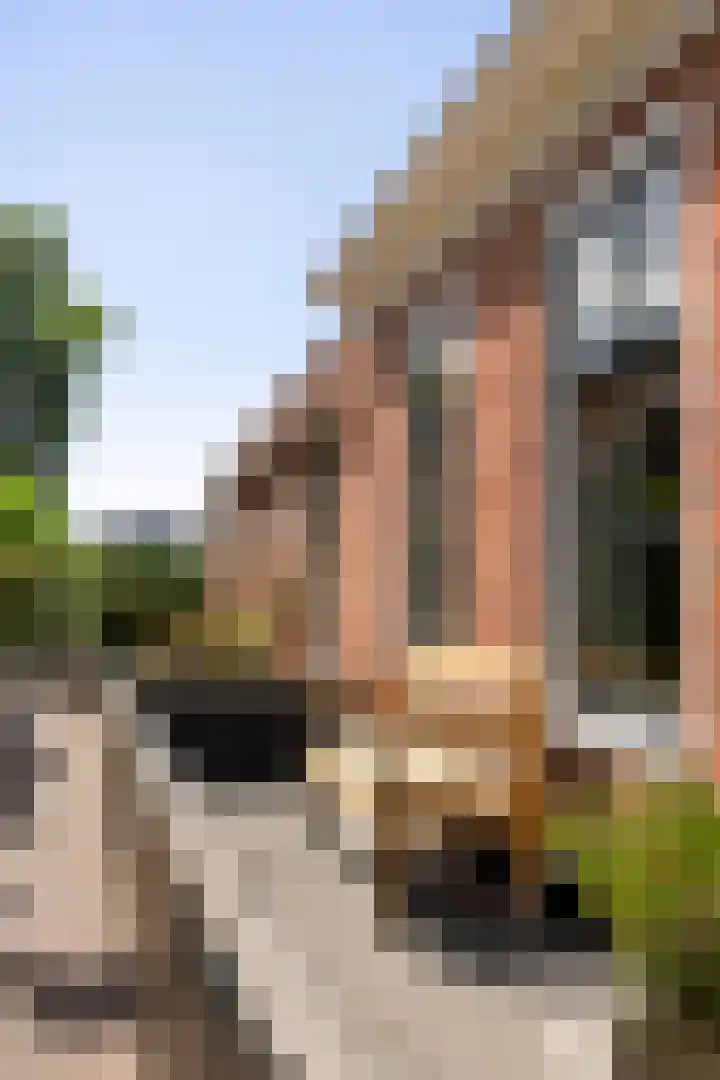 Tsjerkebuorren 11 Mitselwier thumbnail 11