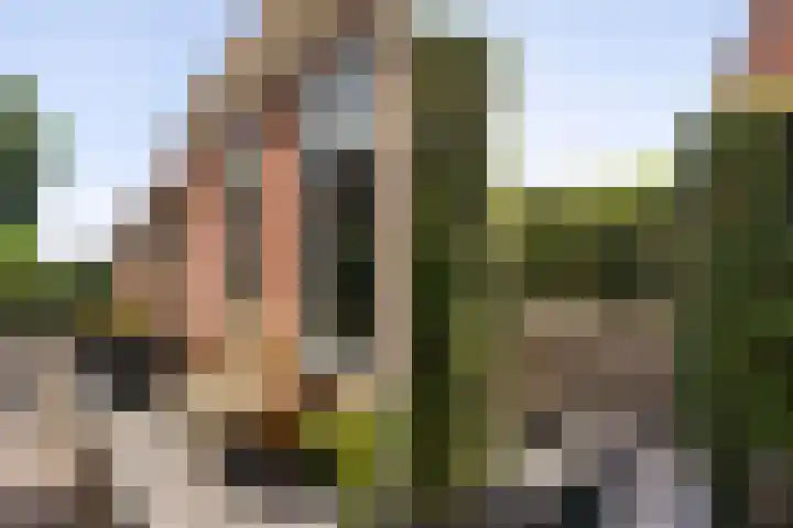 Tsjerkebuorren 11 Mitselwier thumbnail 12