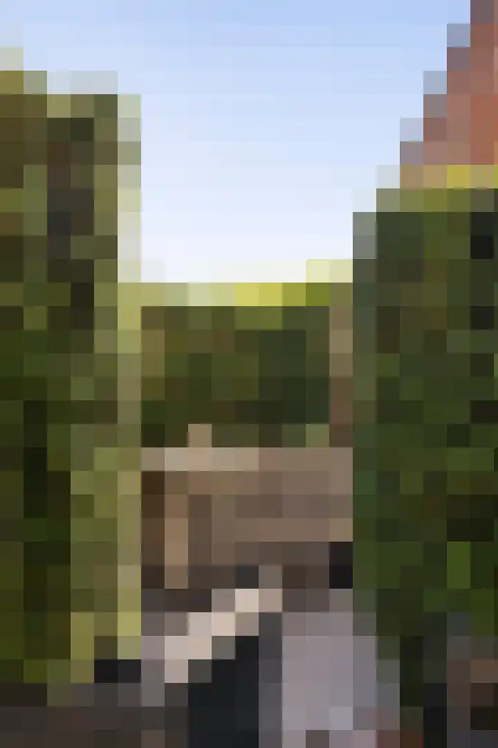 Tsjerkebuorren 11 Mitselwier thumbnail 13
