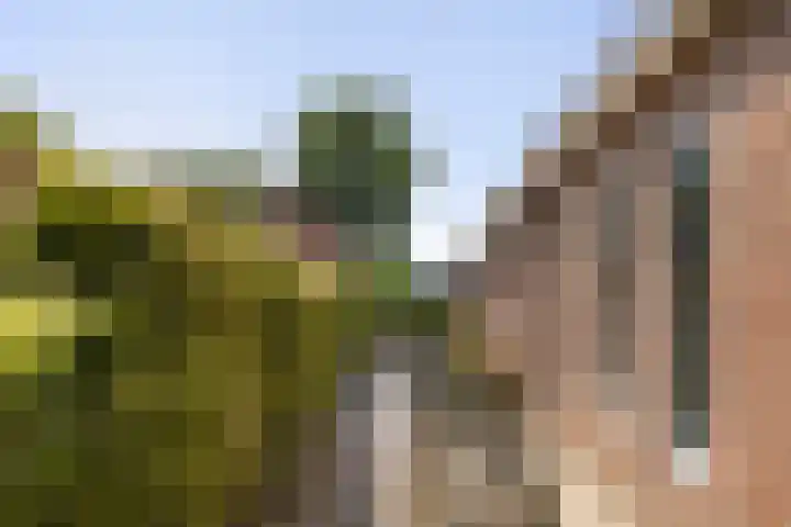Tsjerkebuorren 11 Mitselwier thumbnail 14