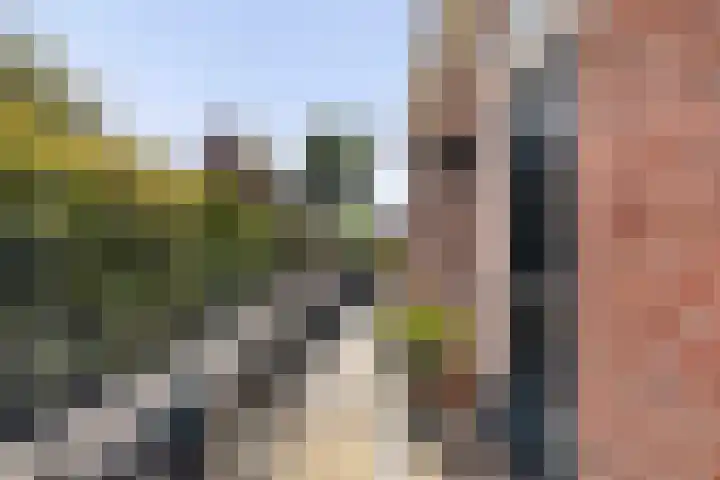 Tsjerkebuorren 11 Mitselwier thumbnail 15