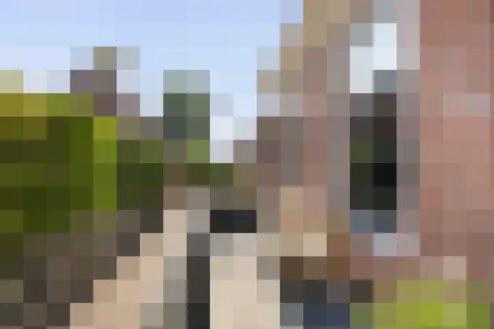 Tsjerkebuorren 11 Mitselwier thumbnail 16