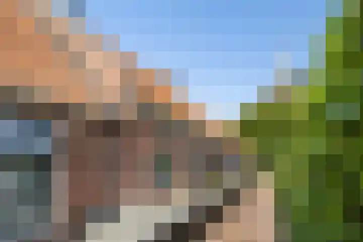 Tsjerkebuorren 11 Mitselwier thumbnail 21