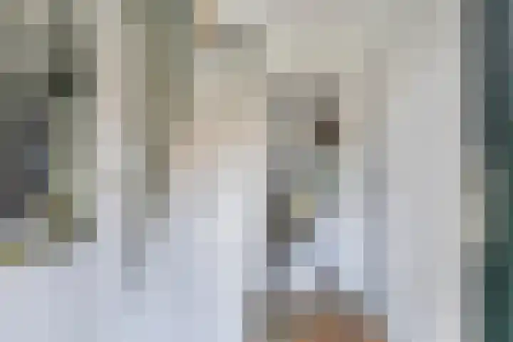 Tsjerkebuorren 11 Mitselwier thumbnail 22