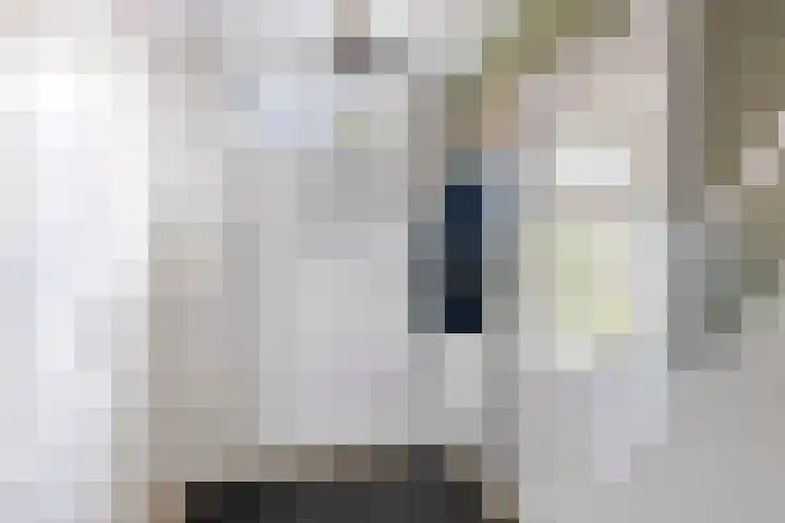 Tsjerkebuorren 11 Mitselwier thumbnail 23