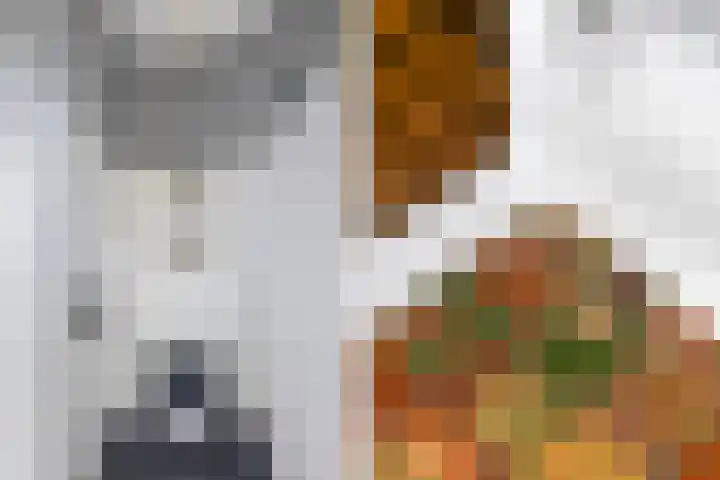 Tsjerkebuorren 11 Mitselwier thumbnail 25