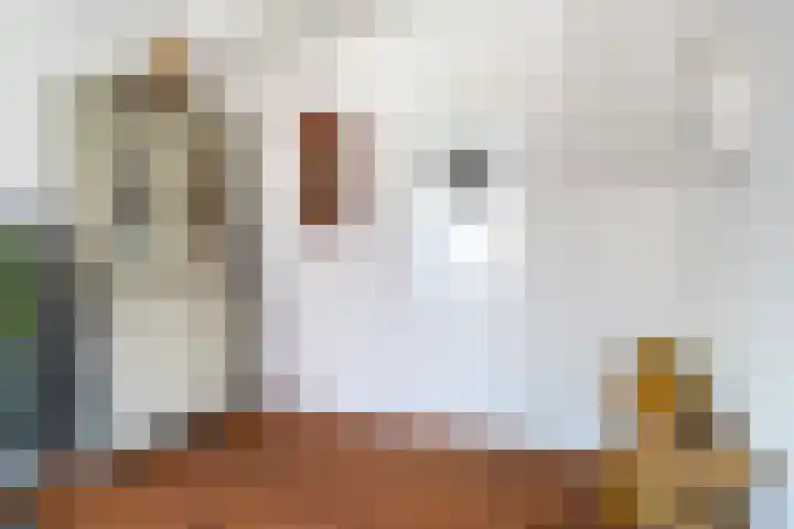 Tsjerkebuorren 11 Mitselwier thumbnail 28