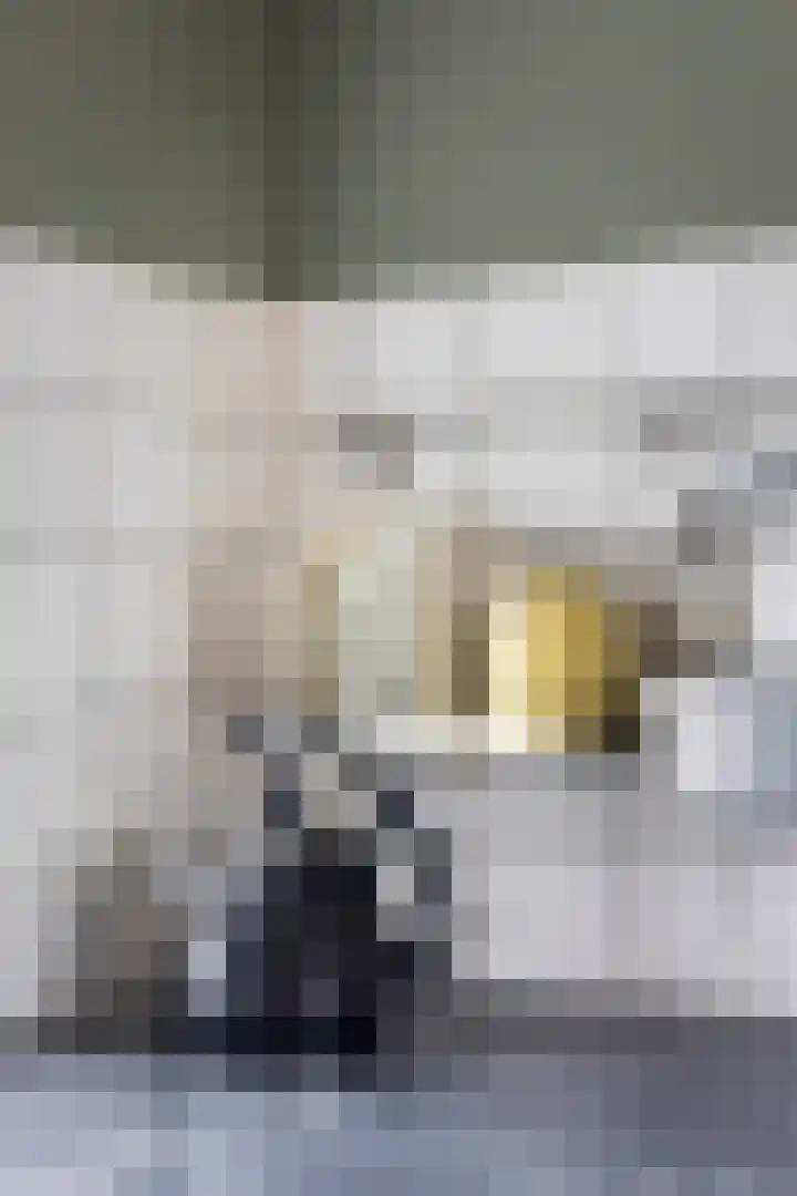 Tsjerkebuorren 11 Mitselwier thumbnail 44