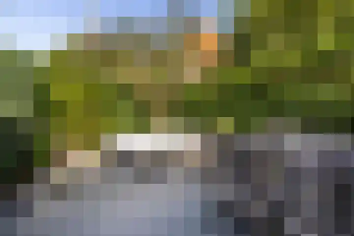 Tsjerkebuorren 11 Mitselwier thumbnail 45
