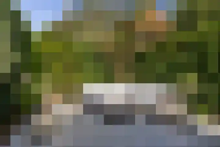 Tsjerkebuorren 11 Mitselwier thumbnail 46