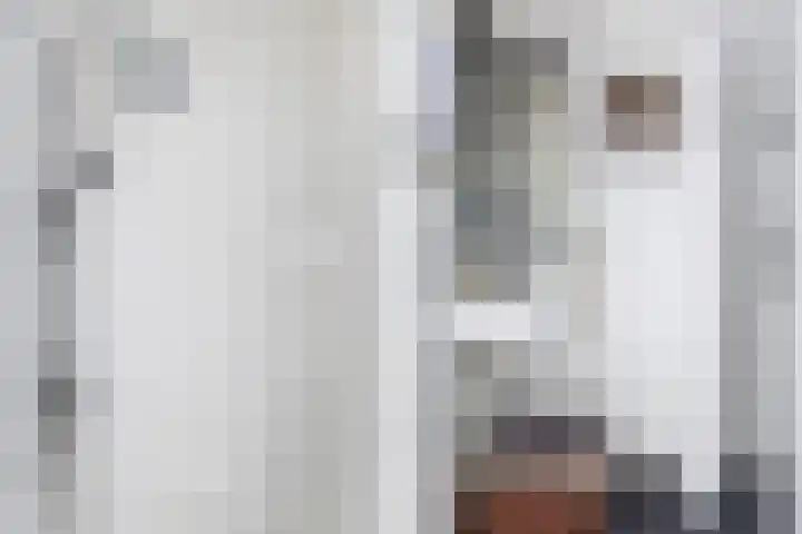 Tsjerkebuorren 11 Mitselwier thumbnail 56