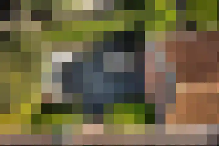 Tsjerkebuorren 11 Mitselwier thumbnail 6