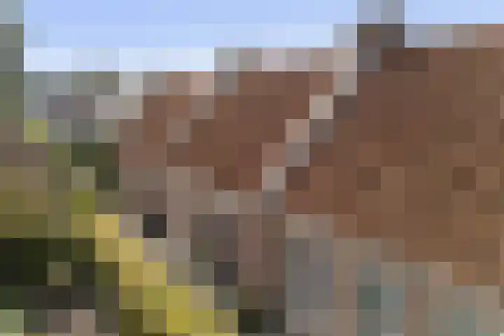 Tsjerkebuorren 11 Mitselwier thumbnail 7