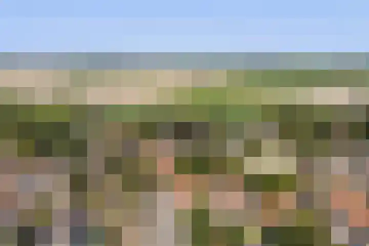 Tsjerkebuorren 11 Mitselwier thumbnail 8