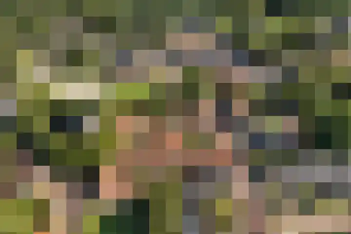 Tsjerkebuorren 11 Mitselwier thumbnail 9