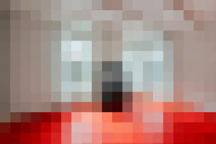 Tsjerkebuorren 11 Twijzel thumbnail 10