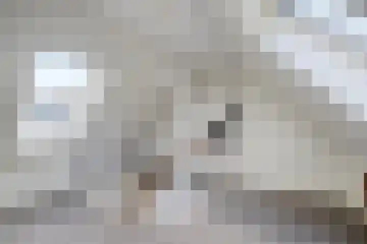 Tsjerkebuorren 11 Twijzel thumbnail 15