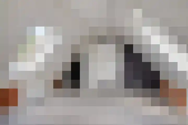 Tsjerkebuorren 11 Twijzel thumbnail 17