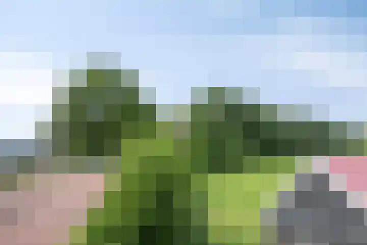 Tsjerkebuorren 11 Twijzel thumbnail 25
