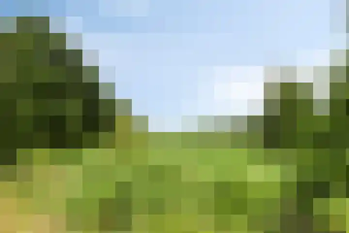 Tsjerkebuorren 11 Twijzel thumbnail 27