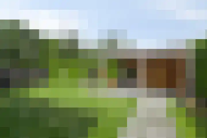 Tsjerkebuorren 11 Twijzel thumbnail 4
