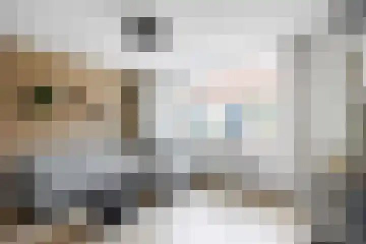 Tsjerkebuorren 12 Sexbierum thumbnail 14