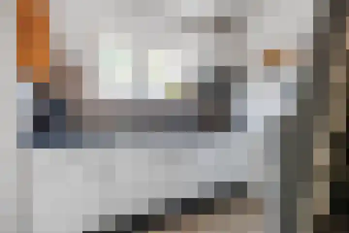 Tsjerkebuorren 12 Sexbierum thumbnail 22