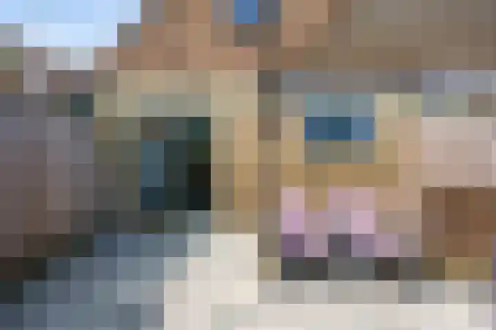 Tsjerkebuorren 12 Sexbierum thumbnail 28
