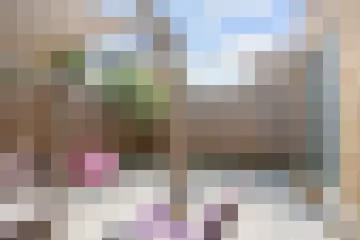Tsjerkebuorren 12 Sexbierum thumbnail 30