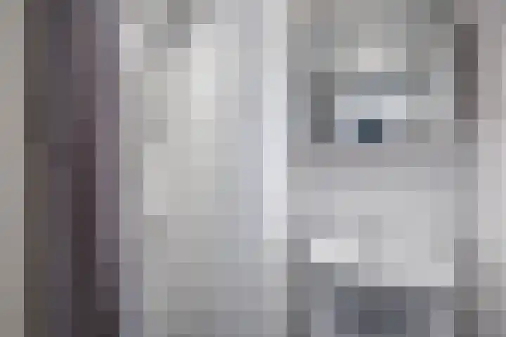 Tsjerkebuorren 12 Sexbierum thumbnail 4