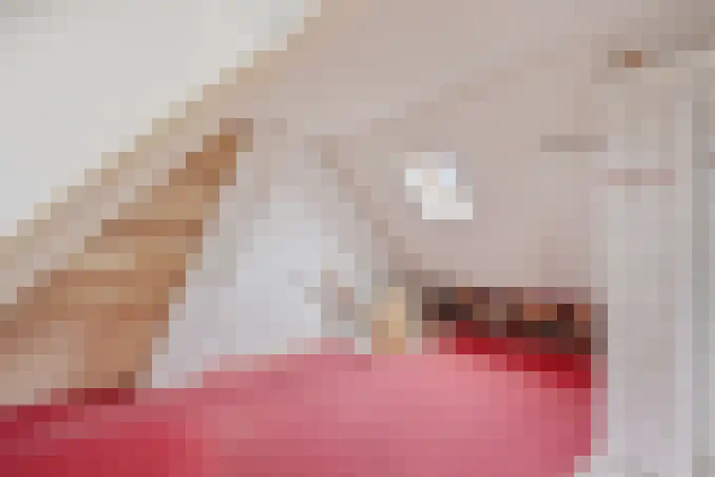 Tsjerkebuorren 15 Sexbierum thumbnail 16