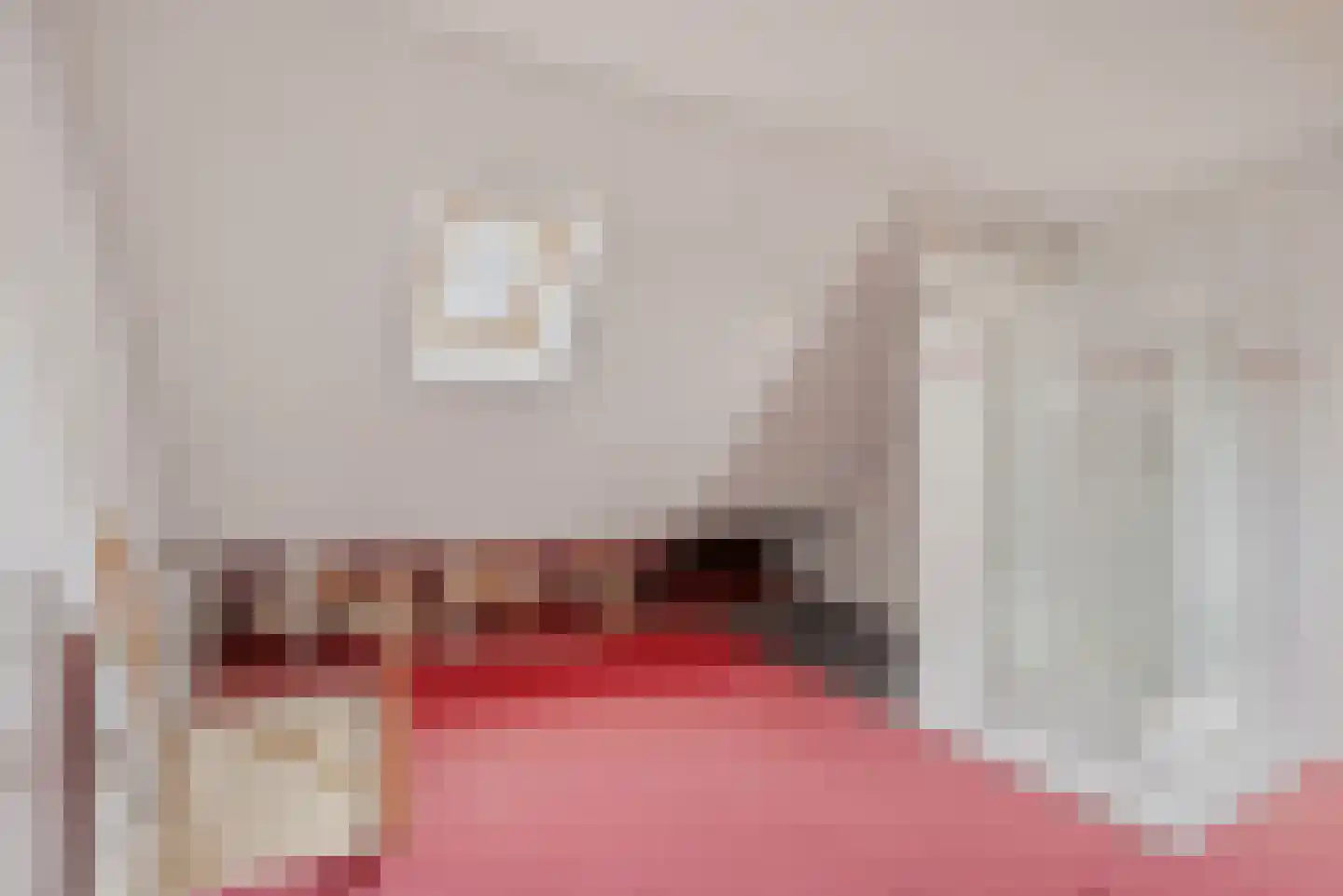 Tsjerkebuorren 15 Sexbierum thumbnail 17