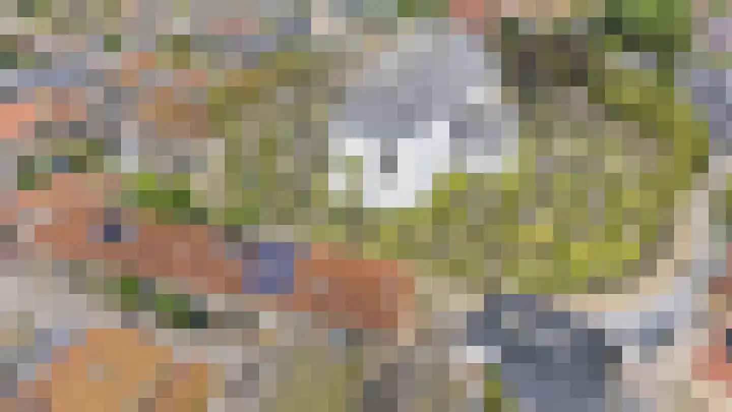 Tsjerkebuorren 15 Sexbierum thumbnail 23
