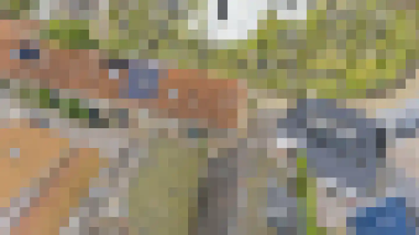 Tsjerkebuorren 15 Sexbierum thumbnail 4