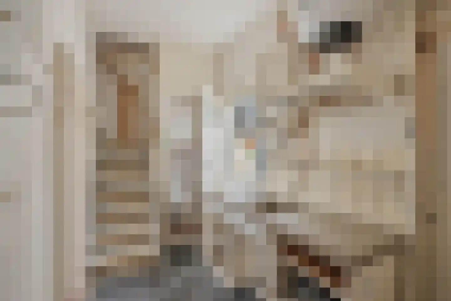 Tsjerkebuorren 15 Sexbierum thumbnail 7