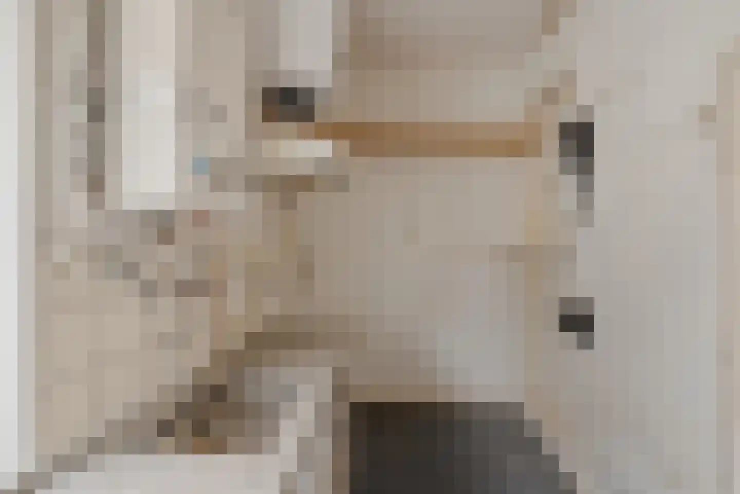 Tsjerkebuorren 15 Sexbierum thumbnail 8