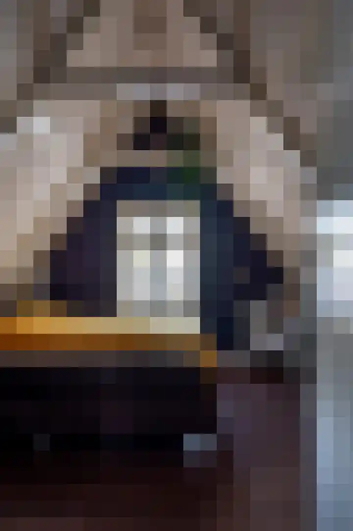Tsjerkebuorren 21 Heeg thumbnail 16