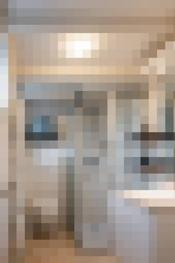 Tsjerkebuorren 21 Heeg thumbnail 17