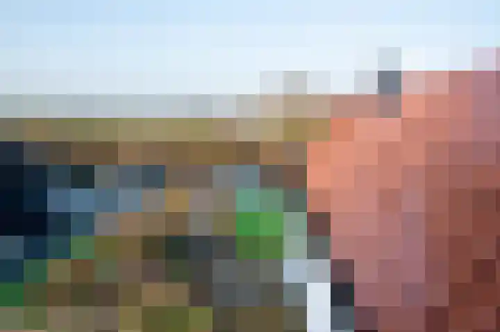 Tsjerkebuorren 21 Heeg thumbnail 21