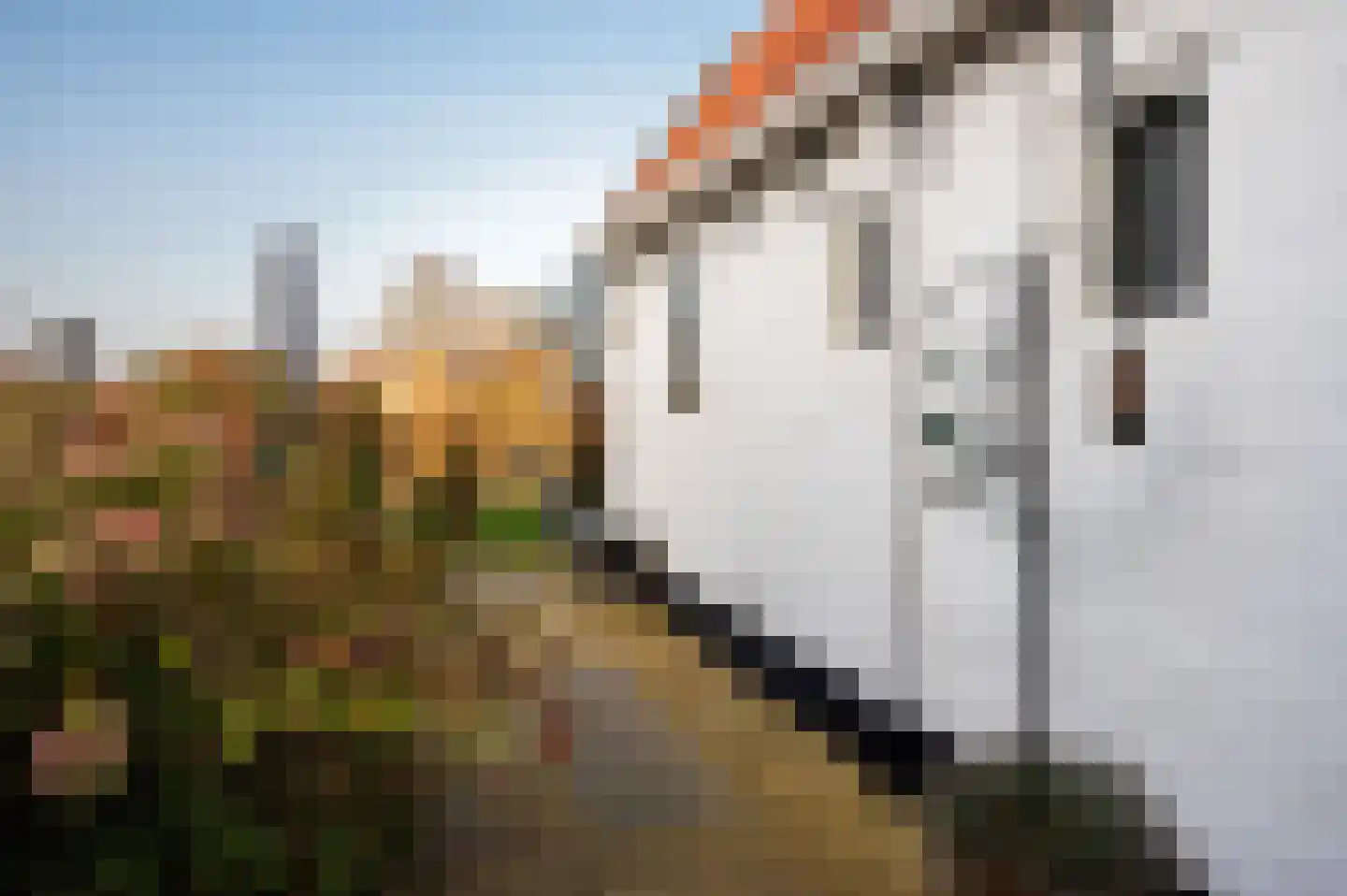 Tsjerkebuorren 21 Heeg thumbnail 23