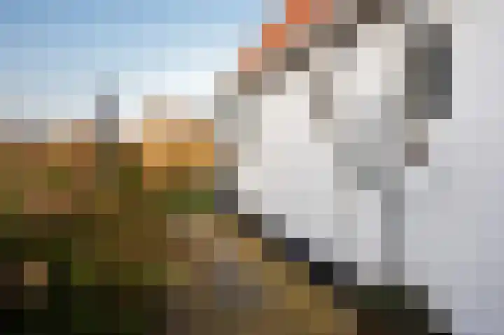 Tsjerkebuorren 21 Heeg thumbnail 23